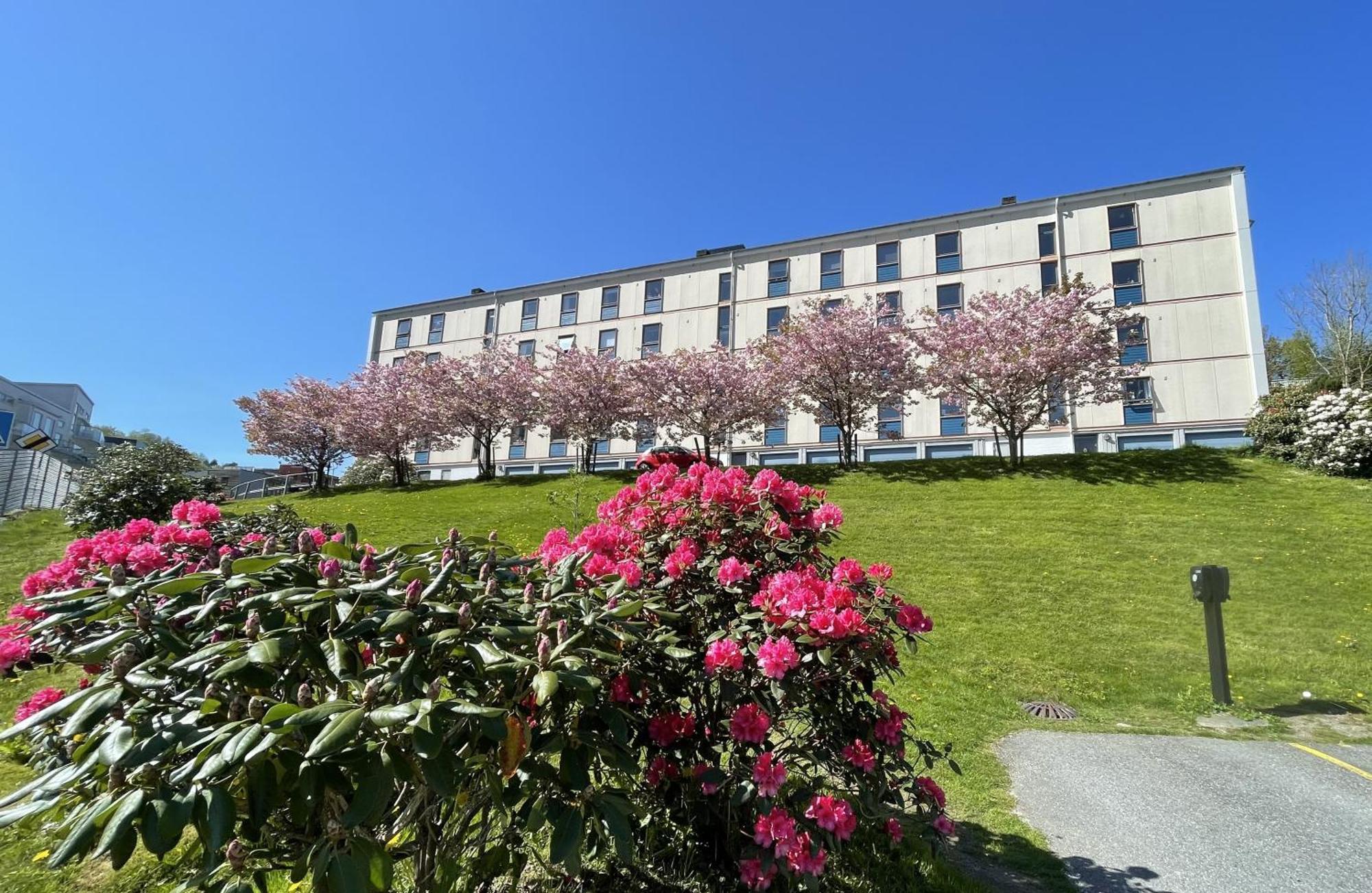 3 Sleeping Rooms For 82M2 Which Direct Traffic To Airport And City Center Bergen Eksteriør billede